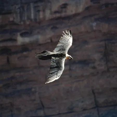 فندق Dos Rios Origen