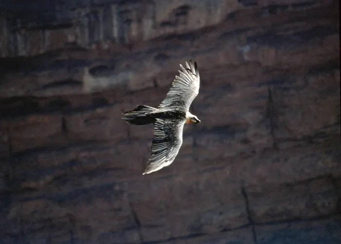 Hotell Hotel Dos Rios Origen