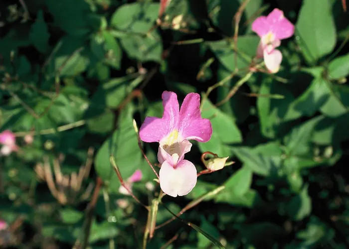 Hotell Hotel Dos Rios Origen